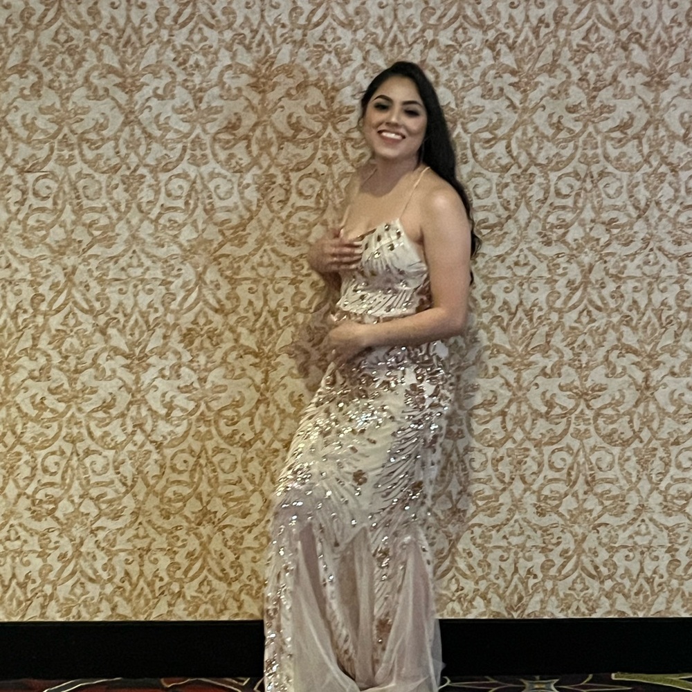 Elegant Sequin Evening Gown